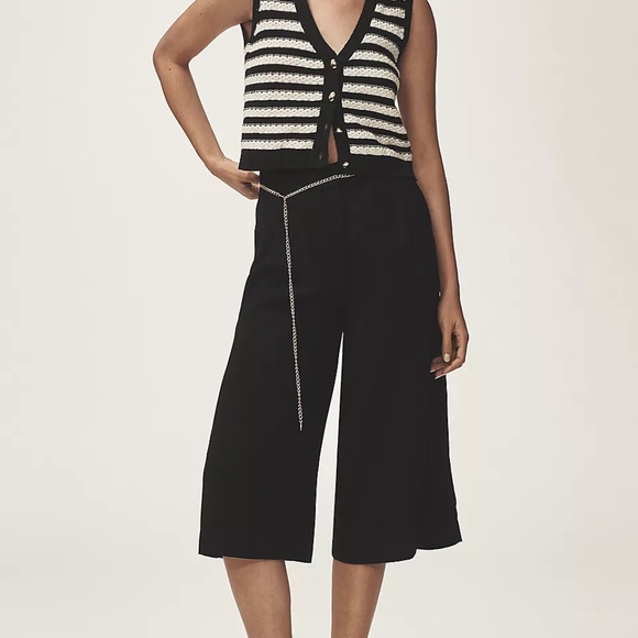 NWT!!  Anthropologie Maeve Pleated Cullotte Trousers Small - Picture 4 of 5